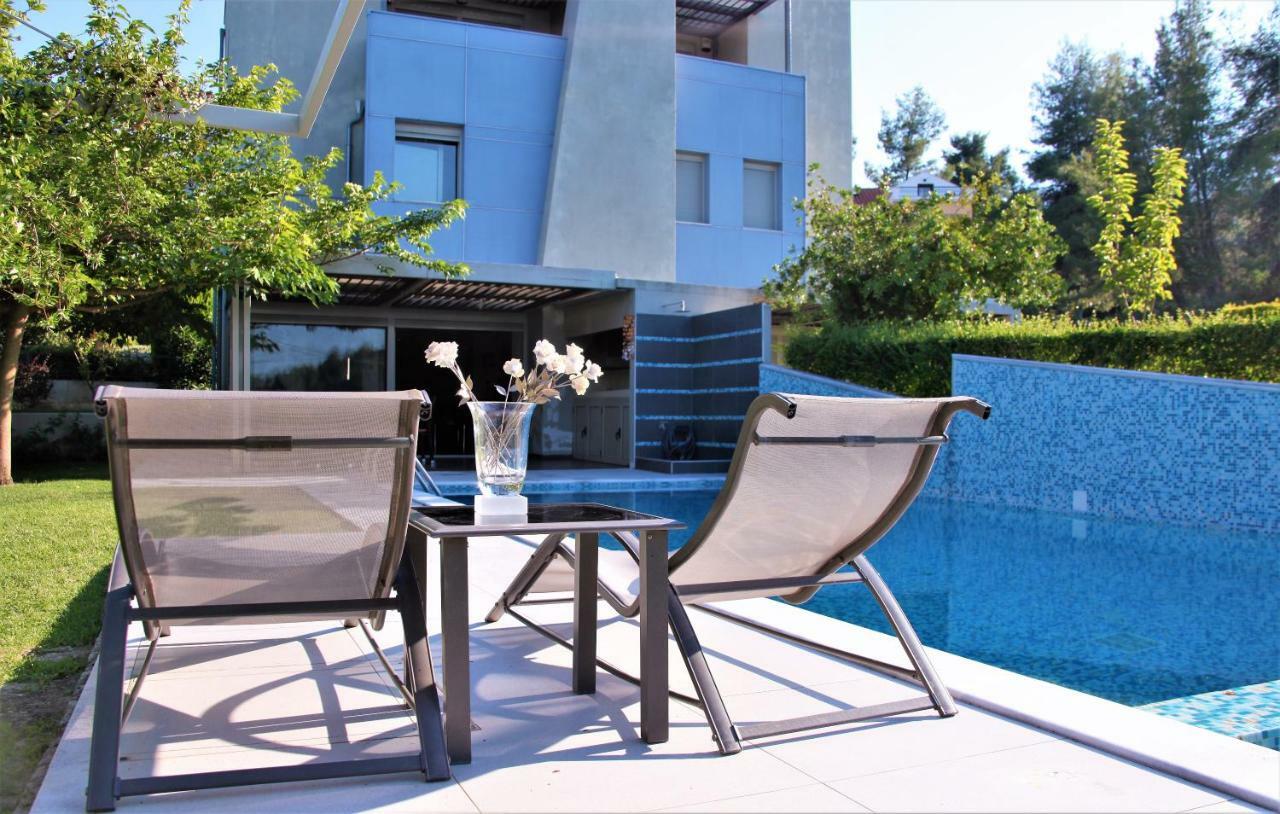 Deluxe Chrousso Pool Villa Paliouri Bagian luar foto